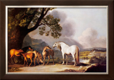 Grey Stallion With Mares And Foals by George Stubbs Pricing Limited Edition Print image
