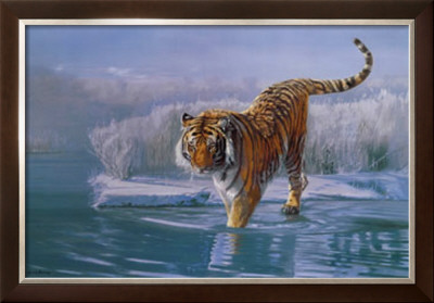 Siberian Tiger by Leonard Pearman Pricing Limited Edition Print image