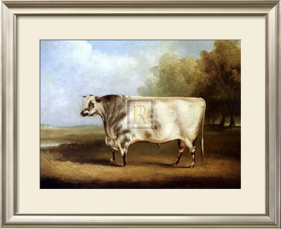 Prize Bull by William Davis Pricing Limited Edition Print image
