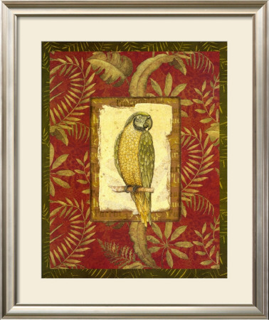 Exotica Parrot by Charlene Audrey Pricing Limited Edition Print image