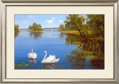 Swans On The Lake by Slava Pricing Limited Edition Print image