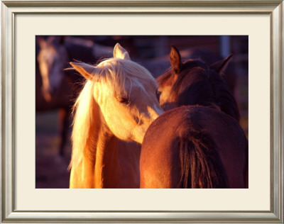 Telling Secrets by Sara Stafford Pricing Limited Edition Print image