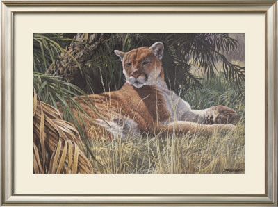 Last Sanctuary- Florida Panther (Detail) by Seerey & Lester Pricing Limited Edition Print image