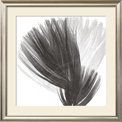 Plumes Ii, 2008 by Anne Montiel Pricing Limited Edition Print image