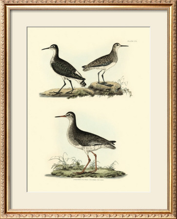 Selby Sandpipers Ii by John Selby Pricing Limited Edition Print image