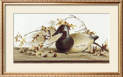 Chesapeake Bay Canvasback by Pauline Eble Campanelli Pricing Limited Edition Print image