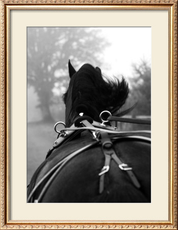 Cantering by Mary Cornelius Pricing Limited Edition Print image