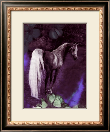 Grey Stallion Art by Dominique Cognee Pricing Limited Edition Print image