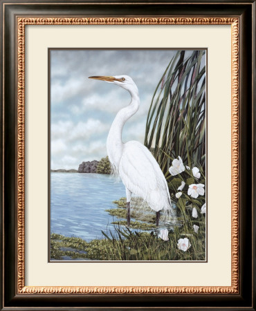 Great White Egret by James Harris Pricing Limited Edition Print image
