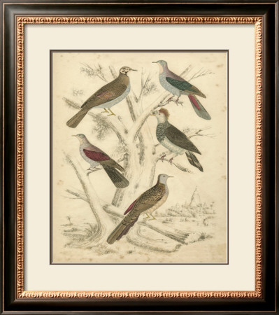 Avian Habitat I by Milne Pricing Limited Edition Print image