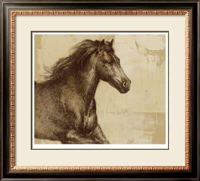 Majestic Horse I by Ethan Harper Pricing Limited Edition Print image