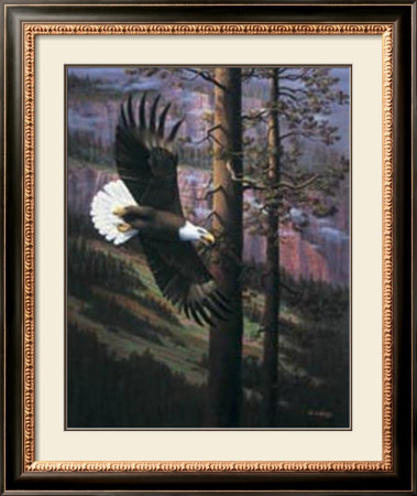 Eagle In Trees by Ronnie Hedge Pricing Limited Edition Print image