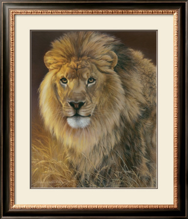 Power And Presence: African Lion by Joni Johnson-Godsy Pricing Limited Edition Print image