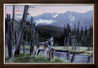 Wold And Pup by Kevin Daniel Pricing Limited Edition Print image