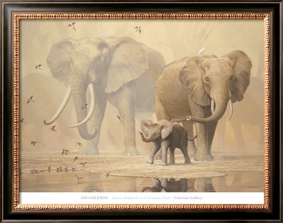 African Elephants And Namaqua Doves by Ian Coleman Pricing Limited Edition Print image