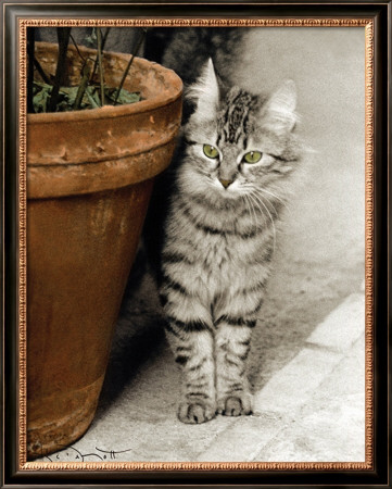 Minou by Joane Mcdermott Pricing Limited Edition Print image