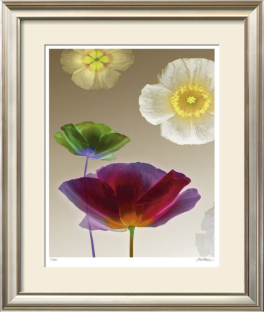 Poppy Suite I by Robert Mertens Pricing Limited Edition Print image