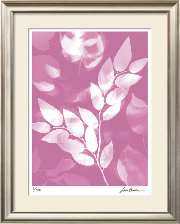Flower Shadow Vi by Lois Bender Pricing Limited Edition Print image