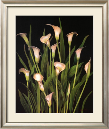 Calla Lily Cluster by Tan Chun Pricing Limited Edition Print image