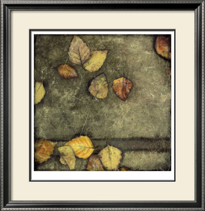 Wet Pavement Ii by Jennifer Goldberger Pricing Limited Edition Print image