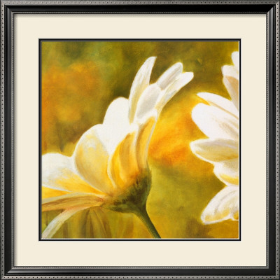 Marguerites Dans Le Soleil Ii by Pierre Viollet Pricing Limited Edition Print image