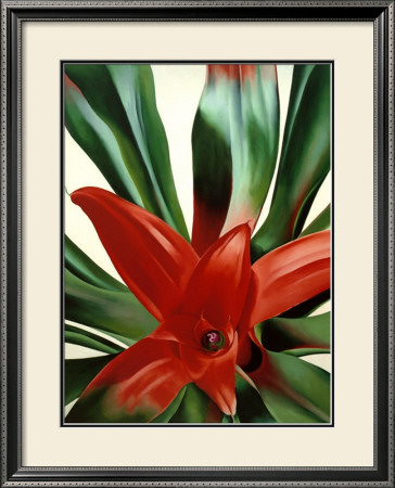 Leaves Of A Plant by Georgia O'keeffe Pricing Limited Edition Print image