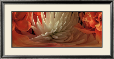 Dahlias Iv by Huntington Witherill Pricing Limited Edition Print image