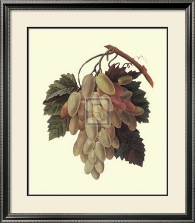 Grapes by Pierre-Joseph Redouté Pricing Limited Edition Print image