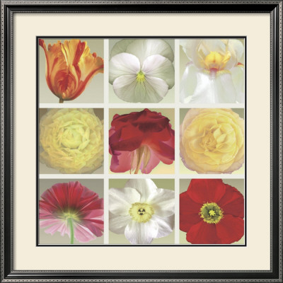 Floral Collection by Robert Mertens Pricing Limited Edition Print image