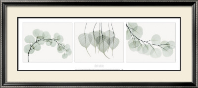Evergreen Triptych by Albert Koetsier Pricing Limited Edition Print image