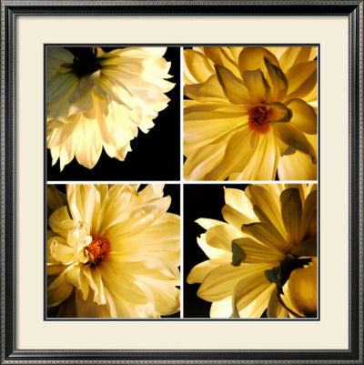 Dahlia Troupe by Helvio Faria Pricing Limited Edition Print image