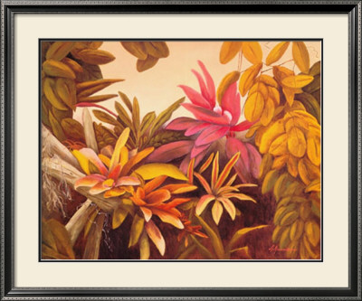Bromiliads by Linda Amundsen Pricing Limited Edition Print image