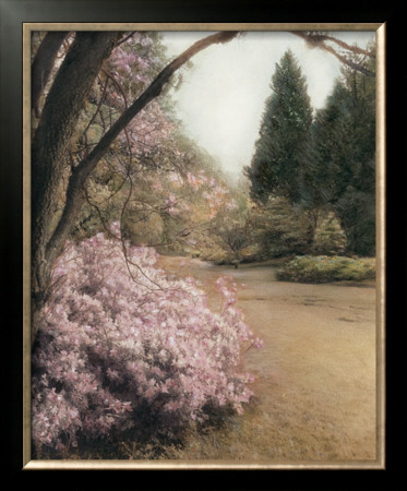 Azalea Way by Barbara Kalhor Pricing Limited Edition Print image