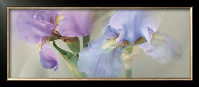 Iris Xxii by Huntington Witherill Pricing Limited Edition Print image