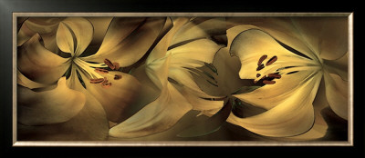 Lilies No. 35 by Huntington Witherill Pricing Limited Edition Print image