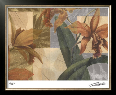 Orchid Screens Ii by John Butler Pricing Limited Edition Print image