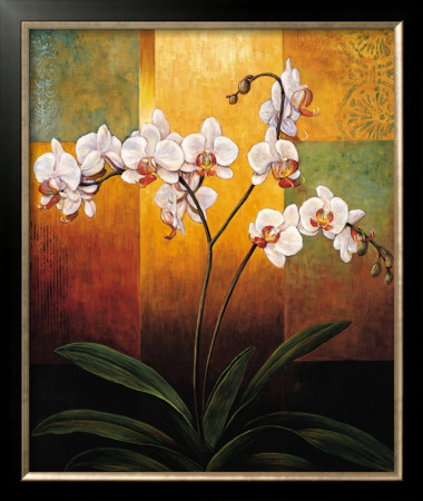 Orchids by Jill Deveraux Pricing Limited Edition Print image