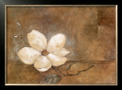Magnolia In Bloom by Carmen Dolce Pricing Limited Edition Print image
