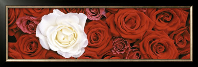 Roses I by Laurent Pinsard Pricing Limited Edition Print image