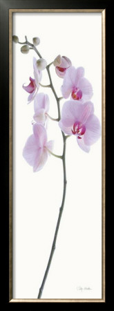 Pink Orchid by Katja Marzahn Pricing Limited Edition Print image