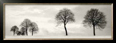 Winter Solstice by Ilona Wellmann Pricing Limited Edition Print image