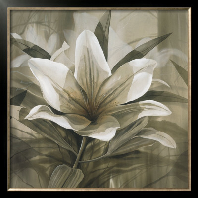 Stargazer by Robert Holman Pricing Limited Edition Print image