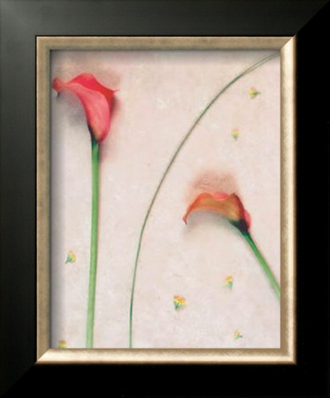 Calla Solitaire by James Guilliam Pricing Limited Edition Print image