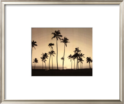 Platinum Palms Ii by Michael Neubauer Pricing Limited Edition Print image