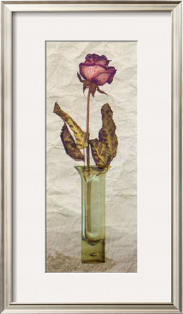 Rose In A Pot Iii by Giancarlo Riboli Pricing Limited Edition Print image