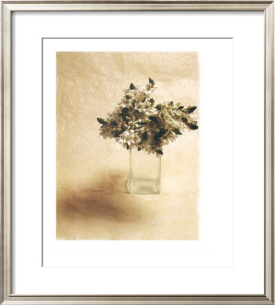 Cut Flowers Ii by Vincenzo Ferrato Pricing Limited Edition Print image