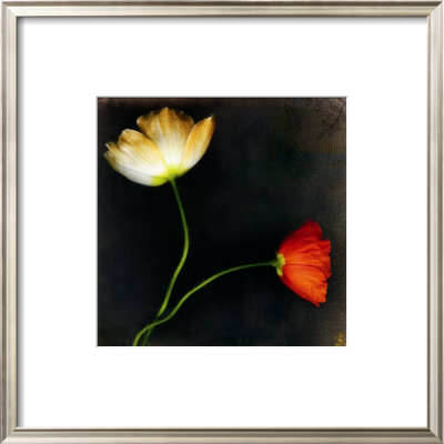 Icelantic Poppies by Rick Filler Pricing Limited Edition Print image