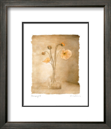 Harmony Ii by Amy Melious Pricing Limited Edition Print image