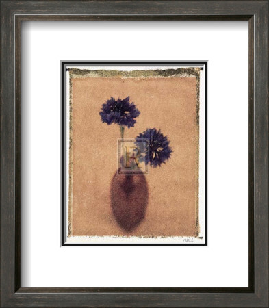 Cornflowers by Scott Morrish Pricing Limited Edition Print image