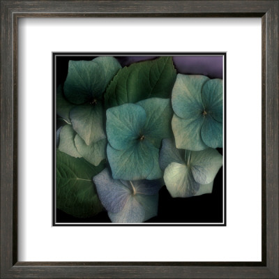 Rhapsody Ii by S. G. Rose Pricing Limited Edition Print image